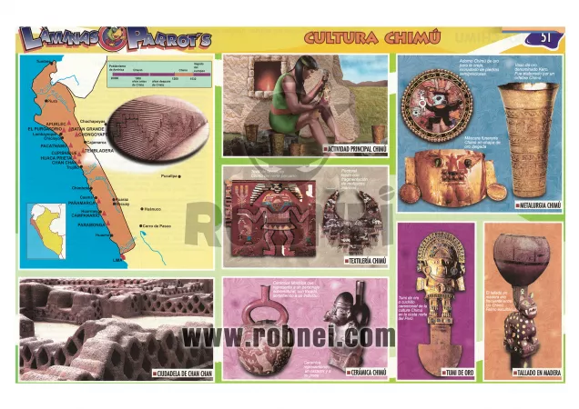 Cultura Chimu 2